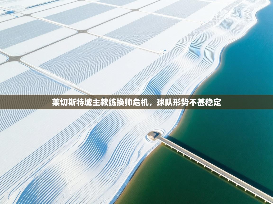 莱切斯特城主教练换帅危机，球队形势不甚稳定