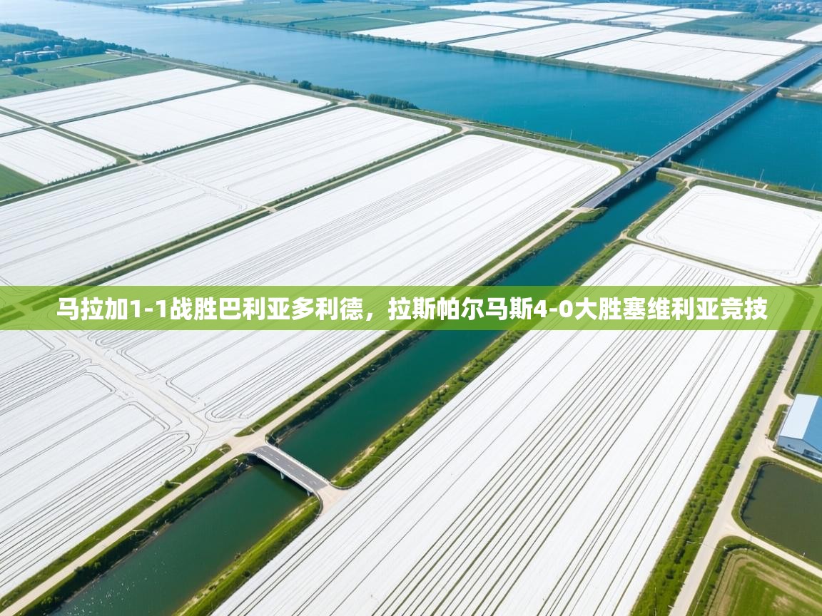 马拉加1-1战胜巴利亚多利德，拉斯帕尔马斯4-0大胜塞维利亚竞技  第1张