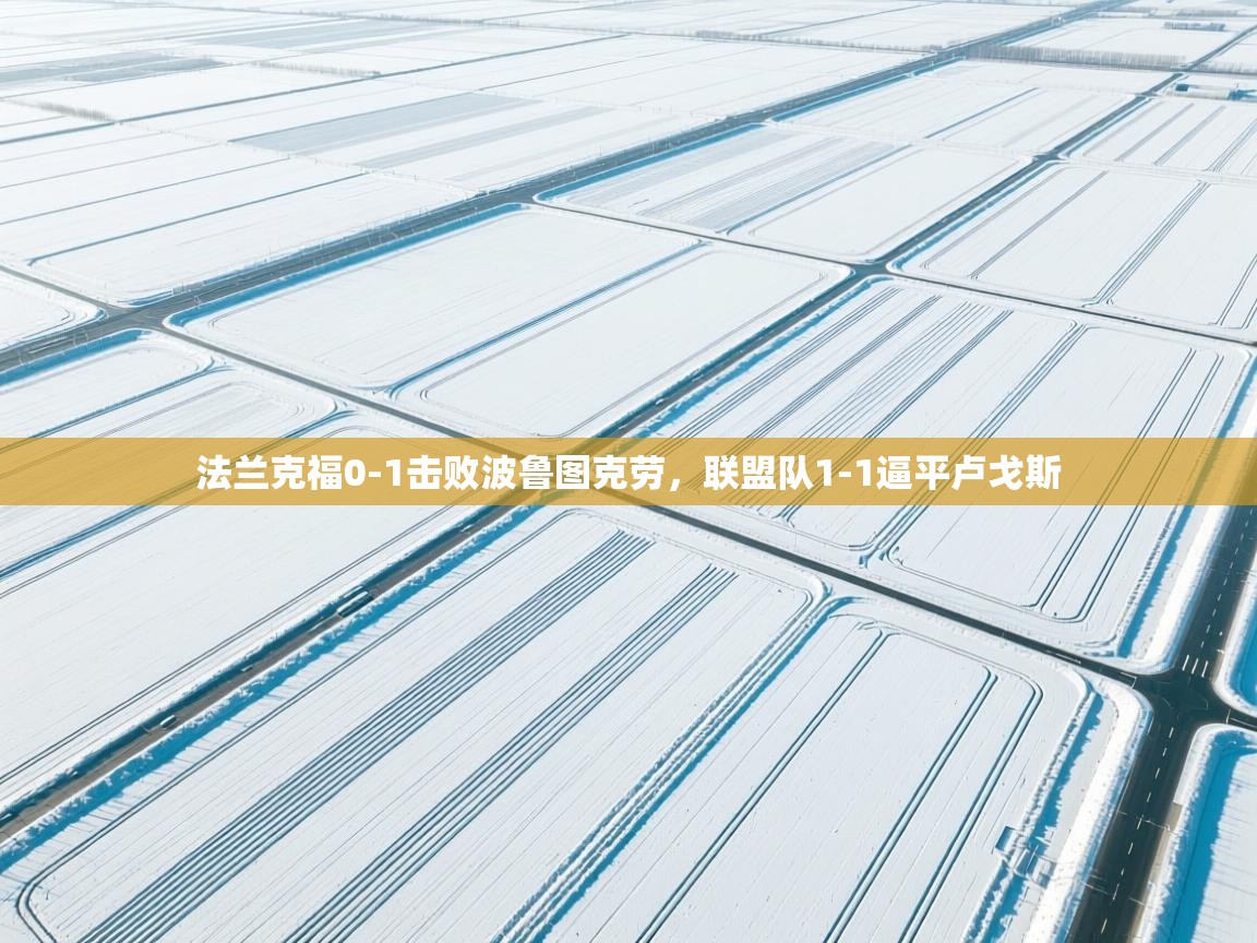 法兰克福0-1击败波鲁图克劳，联盟队1-1逼平卢戈斯  第1张