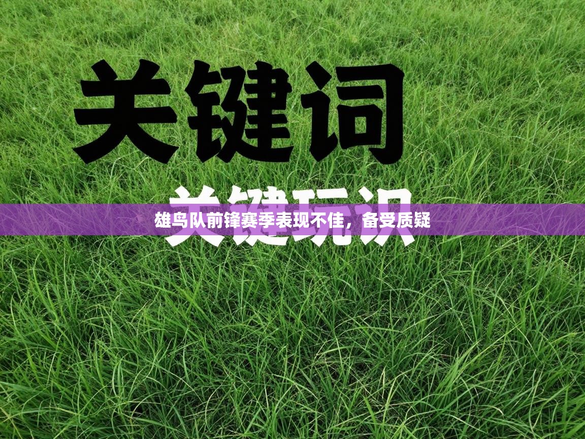 雄鸟队前锋赛季表现不佳，备受质疑  第2张