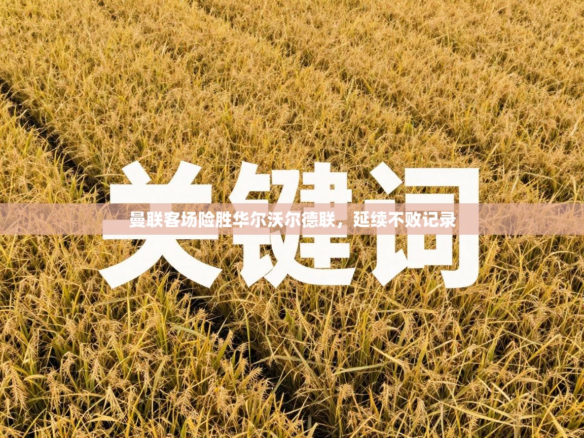 曼联客场险胜华尔沃尔德联，延续不败记录  第2张