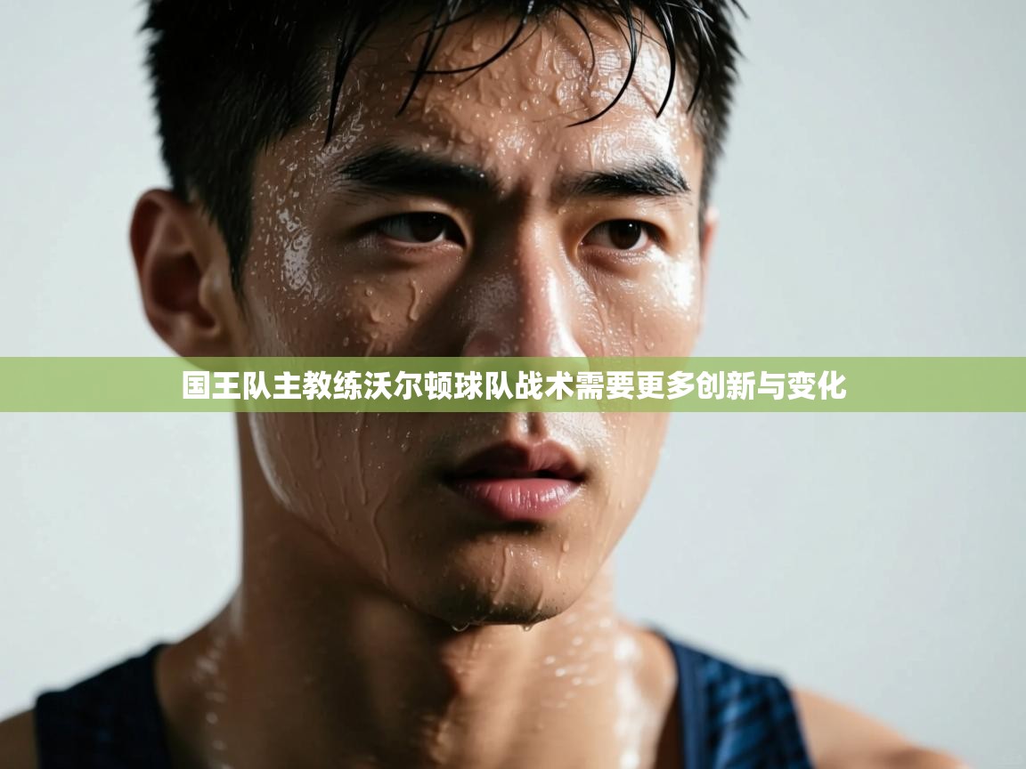 国王队主教练沃尔顿球队战术需要更多创新与变化  第1张