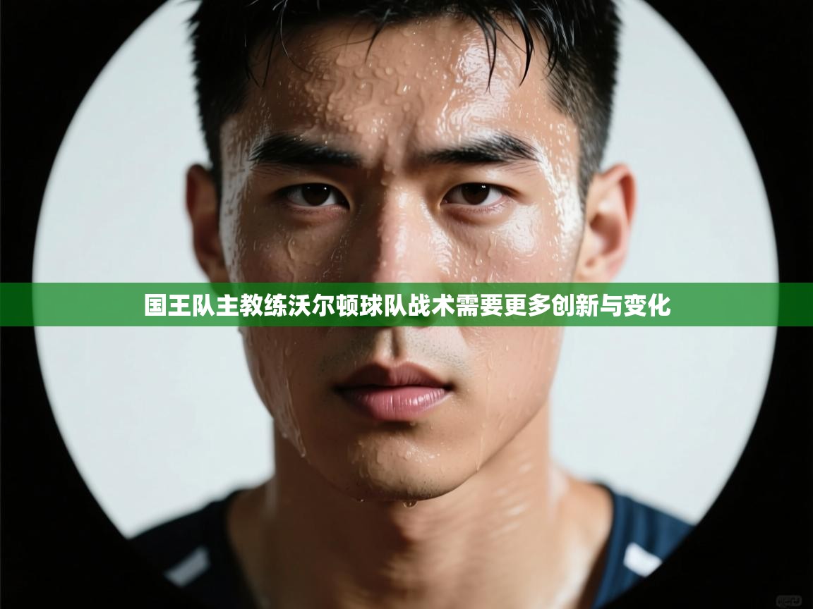 国王队主教练沃尔顿球队战术需要更多创新与变化  第2张