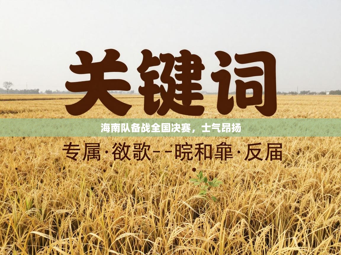 海南队备战全国决赛，士气昂扬